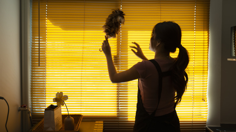 Woman cleaning window blinds with feather duster