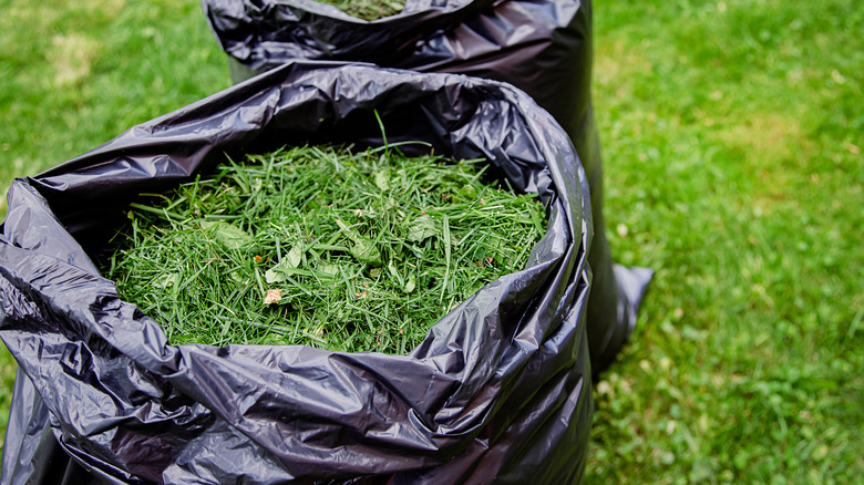 Black plastic bags full of green grass mulch