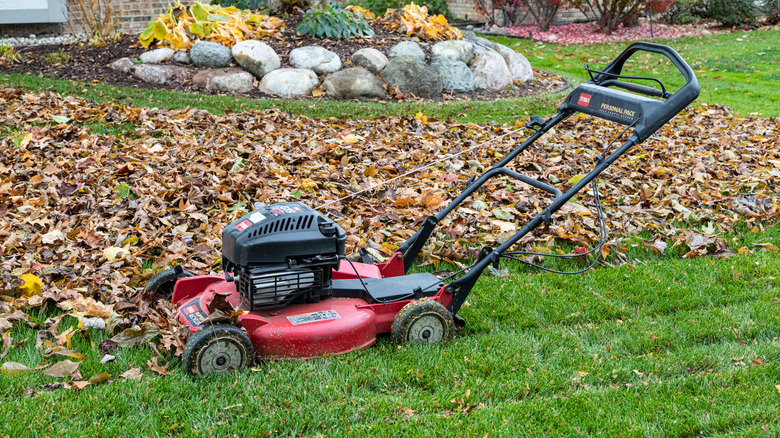 Red mulching mower on green grass sitting beside fall leaves
