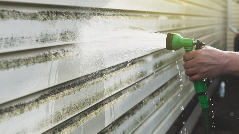 A person sprays dirty vinyl siding with a garden hose