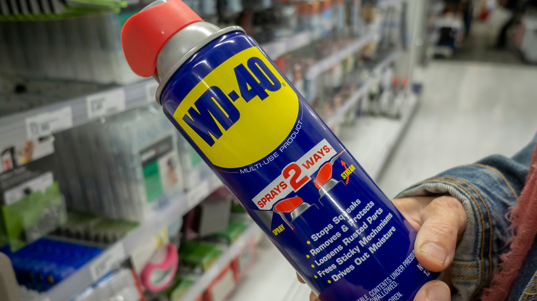 Someone holding a can of WD-40 in the hardware store