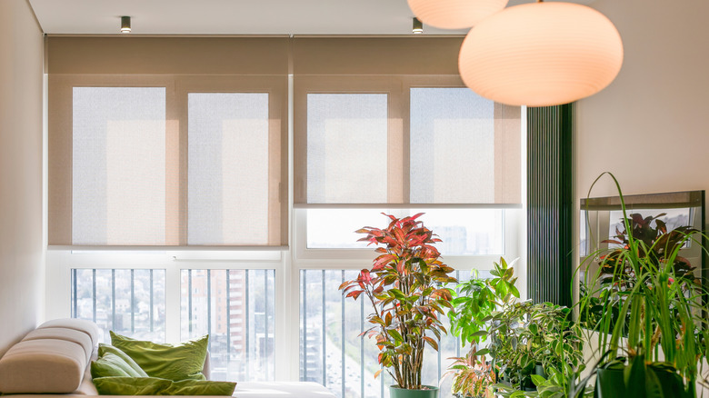 Living room with automated roller blinds partially closed