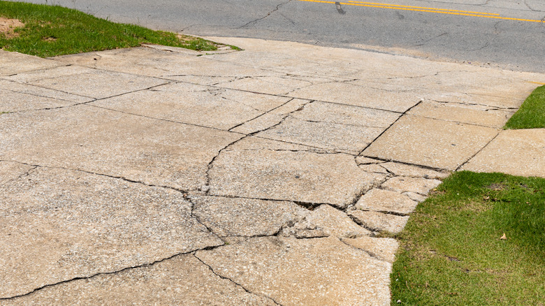 Cracks showing on an old concrete driveway