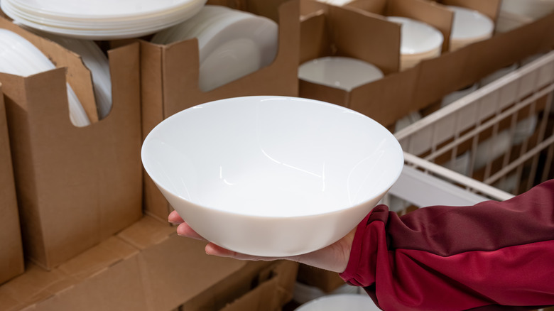 A person holding a plain white bowl