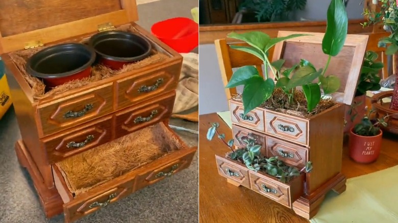 Vintage jewelry box planter