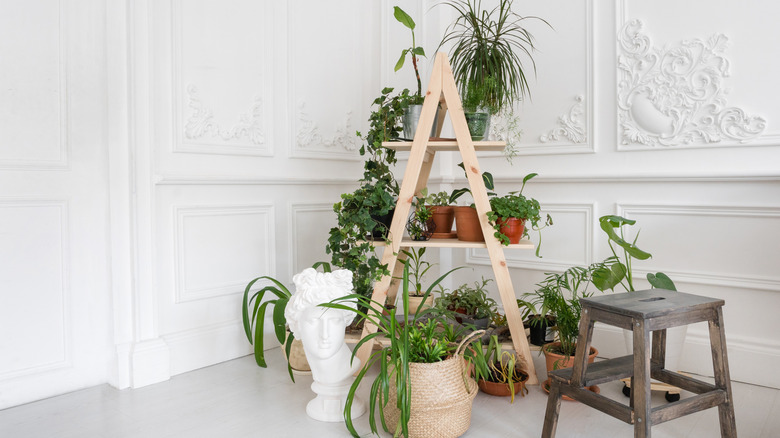 Woman Uses Dollar Tree Finds To Create A Gorgeous Flower Pot Stand On A Budget