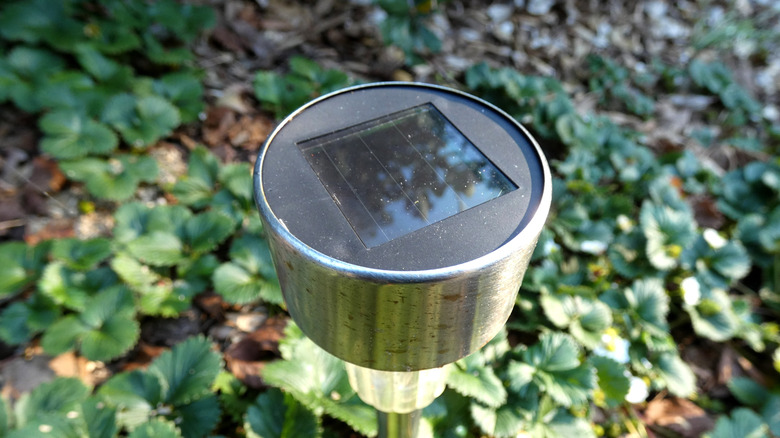 A solar pathway light stake in the garden.