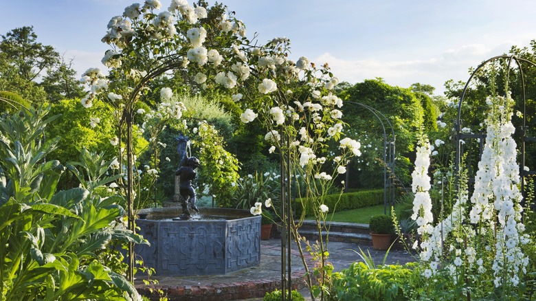 garden arch made out of branches and climbing flowers