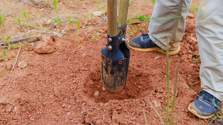 person using a manual post hole digger to make a hole in the ground
