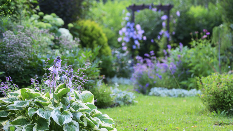 Darling cottage garden with archway