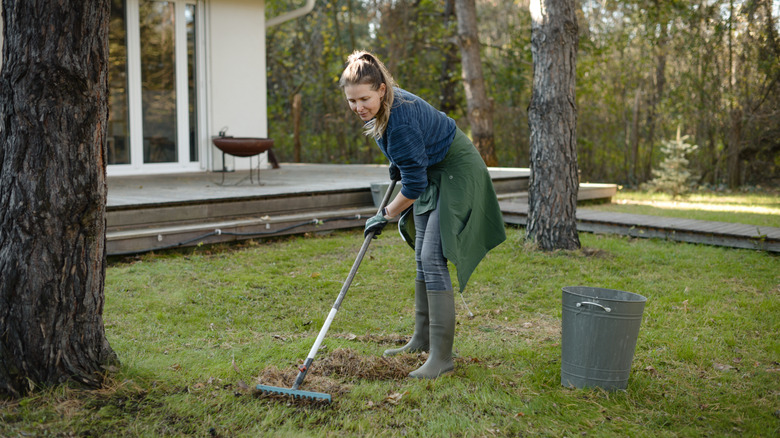 Woman raking her lawn