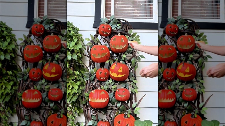 A garden trellis with jack-o'-lanterns.