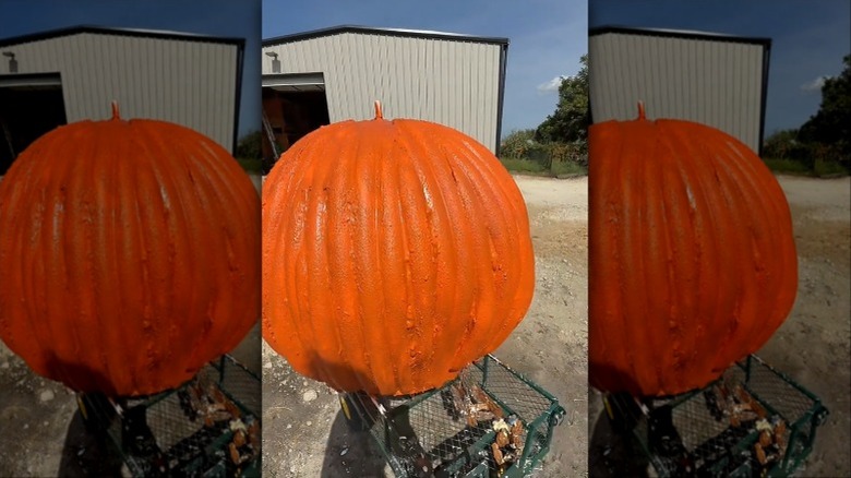 Woman arranging pool noodles into pumpkin shape using an umbrella and wood circle
