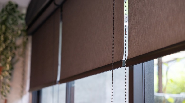 Retractable shade cloth mounted on the inside of a window