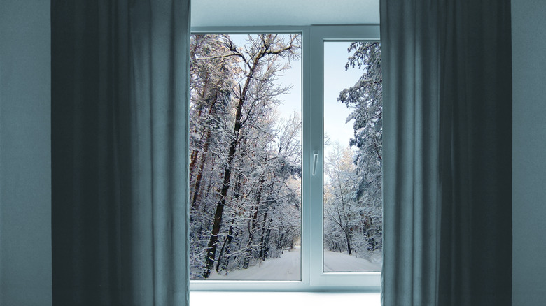 window with open curtains showing snow and trees outside