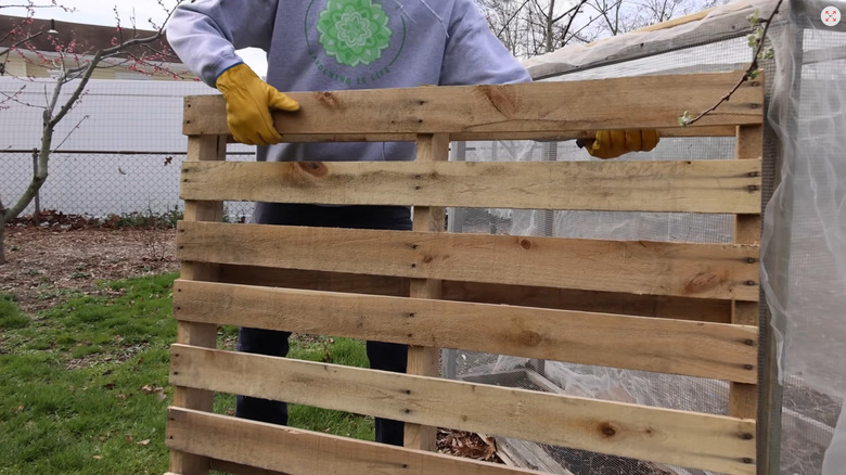 Person carrying a pallet in the backyard