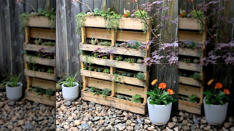 Pallet planter with succulents in it