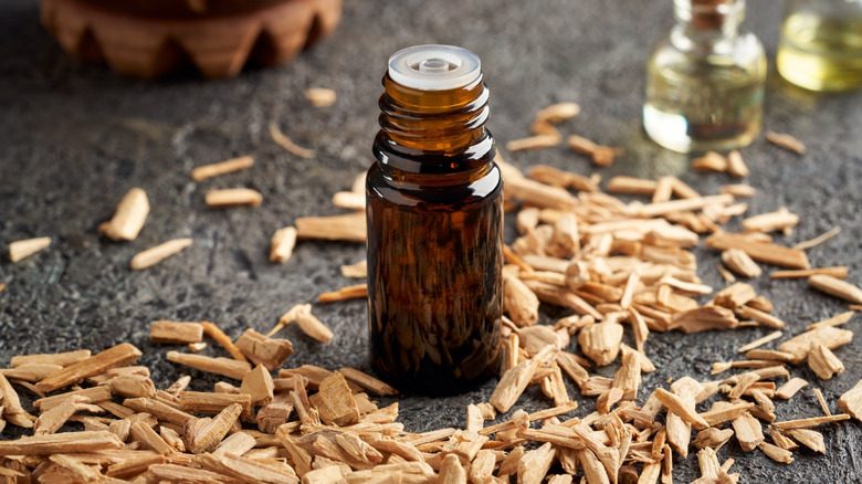 a bottle of cedarwood essential oil surrounded by cedar chips