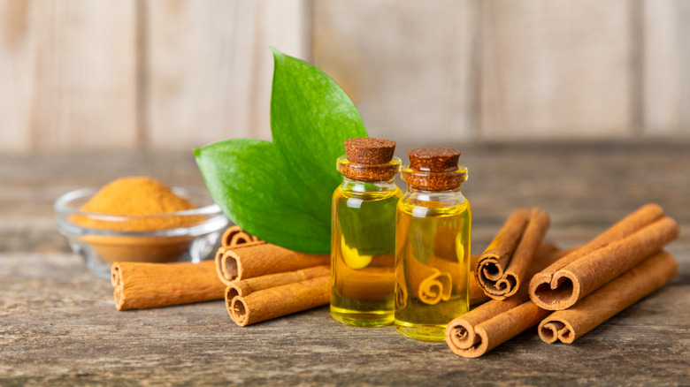 two bottles of cinnamon oil, cinnamon sticks, and cinnamon powder on a table