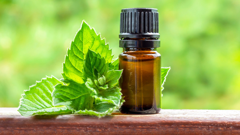 a bottle of peppermint oil on wooden surface next to mint leaves
