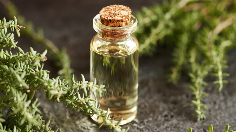 a bottle of thyme essential oil next to bunches of thyme