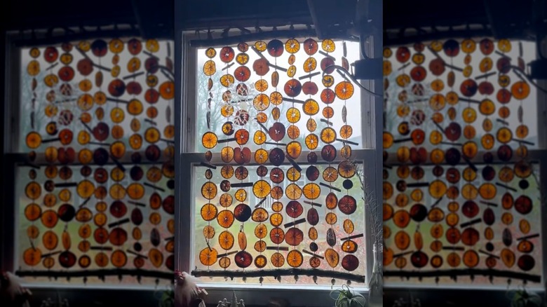 Hanging strands of dried orange slices in a window