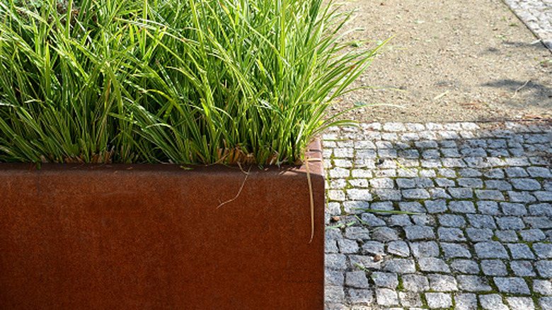 A Corten steel garden bed