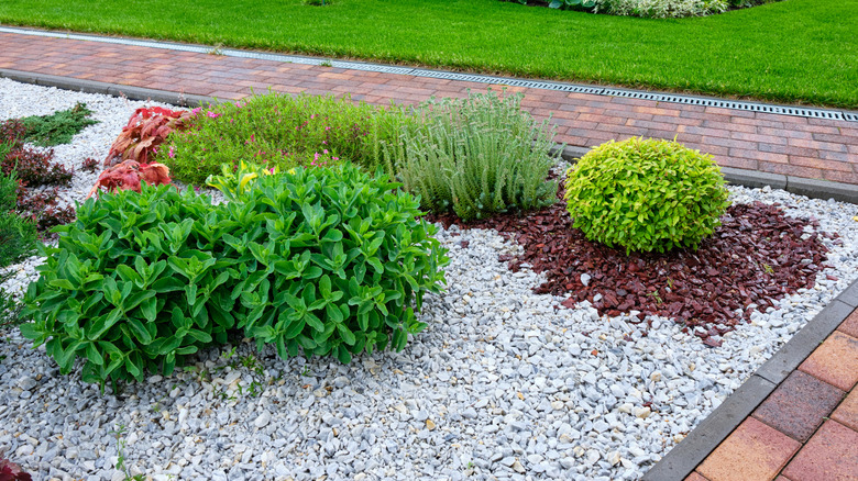 An ornamental flower and shrub bed covered with coarse gravel