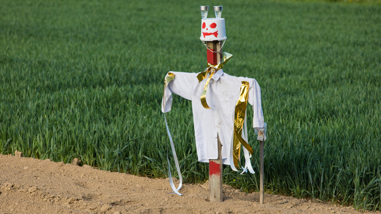 Scarecrow in a field