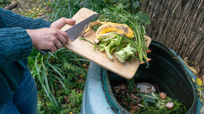 Your Garden Will Thrive With This DIY Fertilizer Made From Repurposed Kitchen Scraps
