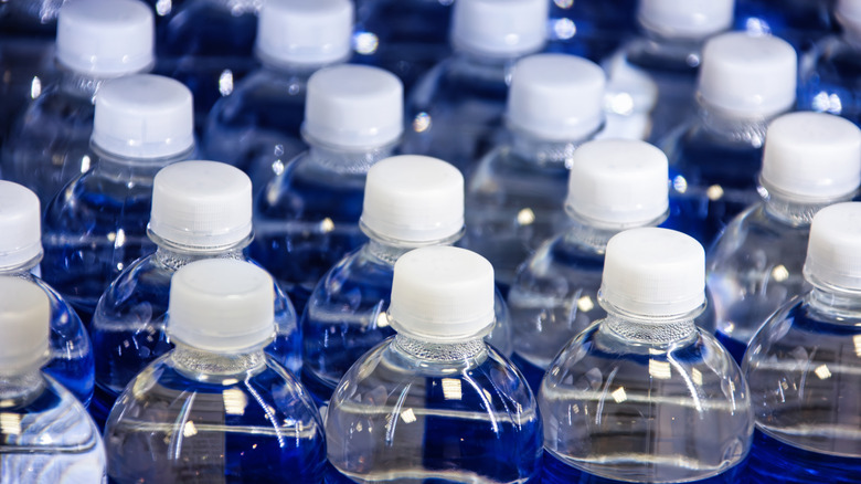 Disposable plastic water bottles