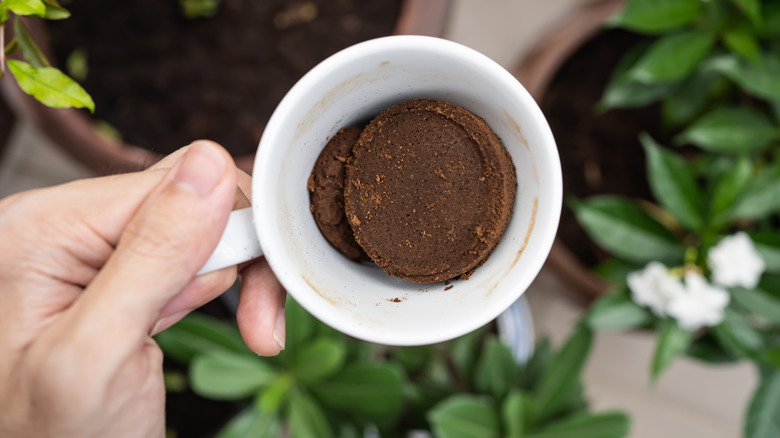 mug of used coffee grounds