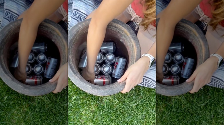 a woman placing soda cans in planter